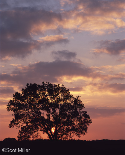 Fine Photographic Print from the LBJ Ranch by Scot Miller, available at Sun to Moon Gallery. Dallas, TX 