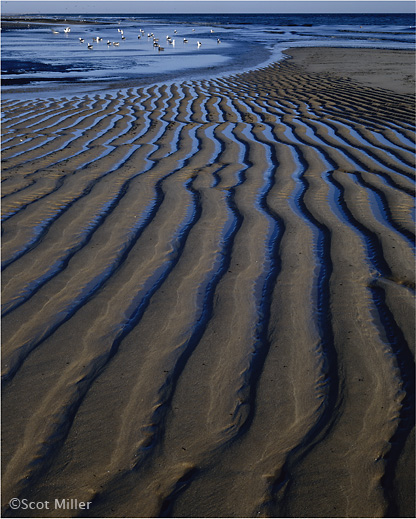Cape Cod photograph by Scot Miller, at Sun to Moon Gallery, www.suntomoon.com