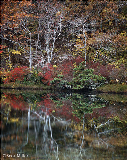 Cape Cod photograph by Scot Miller, at Sun to Moon Gallery, www.suntomoon.com