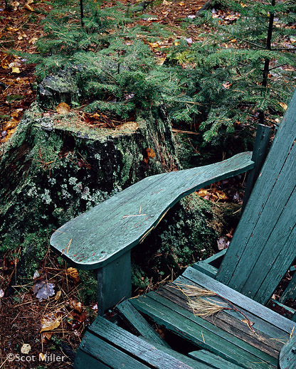 Maine Woods photograph by Scot Miller, at Sun to Moon Gallery, www.suntomoon.com