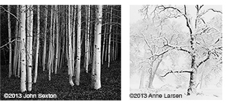 We have a nice selection of Gelatin Silver Prints by John Sexton and Anne Larsen at Sun to Moon Gallery, Dallas, TX