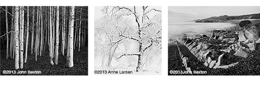 Fine photographs by Anne Larsen & John Sexton, at Sun to Moon Gallery, Dallas, TX