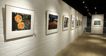 Sun to Moon Gallery interior