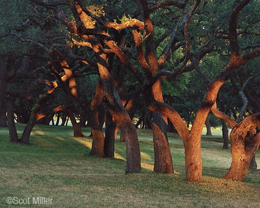 Fine print from LBJ Ranch by Scot Miller, Sun to Moon Gallery