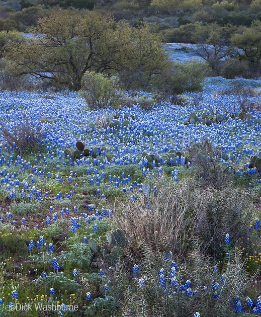 Fine photographic print by Dick Washburne at Sun to Moon Gallery