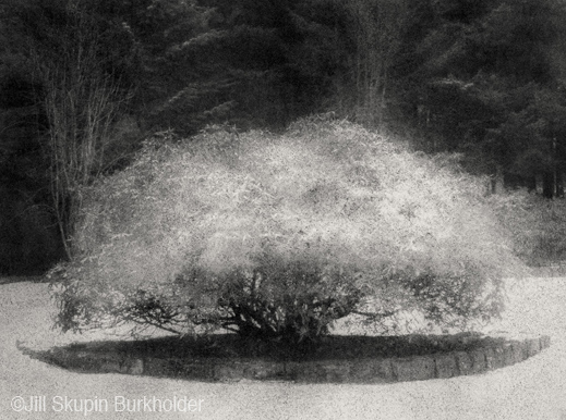 Fine photographic print by Jill Skupin Burkholder, Sun to Moon Gallery