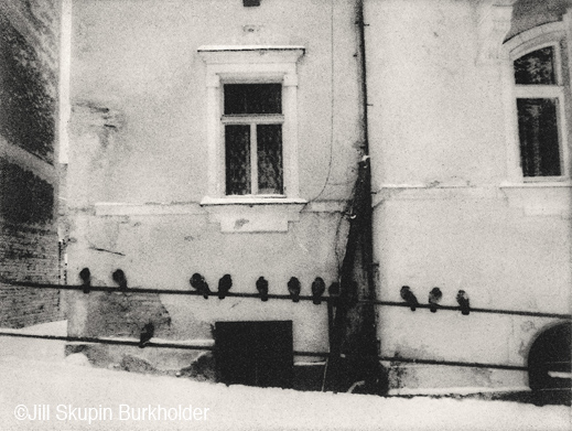 Fine photographic print by Jill Skupin Burkholder, Sun to Moon Gallery