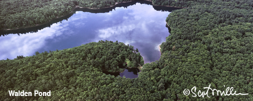 Walden Pond aerial photograph By Scot Miller