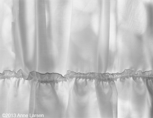 Gelatin Silver Print by Anne Larsen, at Sun to Moon Gallery, Dallas, TX 
