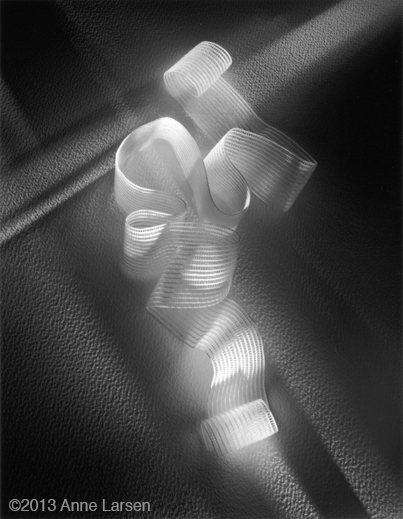 Gelatin Silver Print by Anne Larsen, at Sun to Moon Gallery, Dallas, TX 