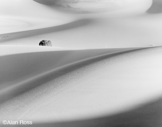 Fine Gelatin Silver Print by Alan Ross, at Sun to Moon Gallery, Dallas, TX