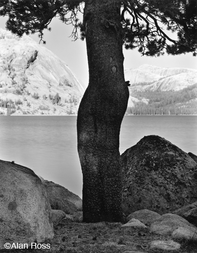 Fine Gelatin Silver Print by Alan Roiss, at Sun to Moon Gallery, Dallas, TX
