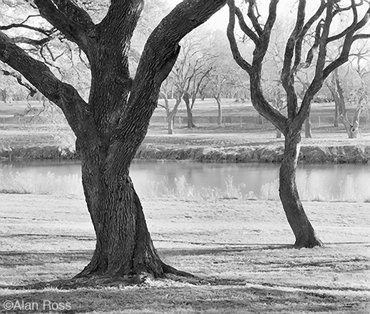 ALan Ross "River Oaks, LBJ Ranch" fine print, at Sun to Moon Gallery, Dallas, TX