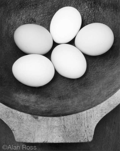 Fine Gelatin Silver Photographic Print by Alan Ross, at Sun to Moon Gallery