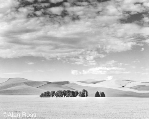 Fine gelatin silver print by Alan Ross, available at Sun to Moon Gallery, Dallas 