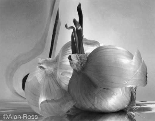 Fine gelatin silver print by Alan Ross, available at Sun to Moon Gallery, Dallas