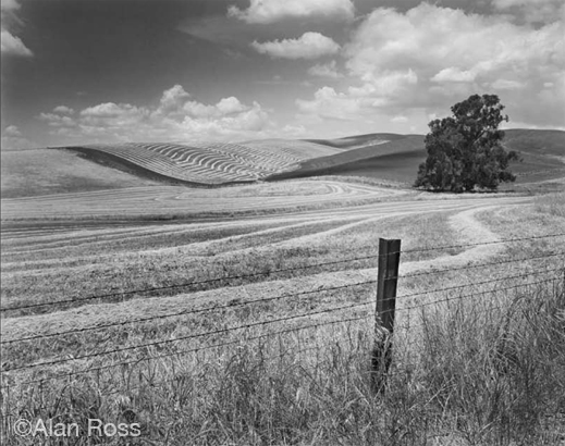 Fine gelatin silver print by Alan Ross, available at Sun to Moon Gallery, Dallas 