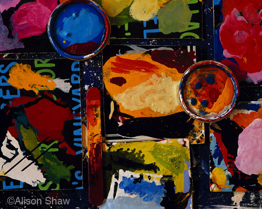 Fine photographic print by Alison Shaw, available at Sun to Moon Gallery 
