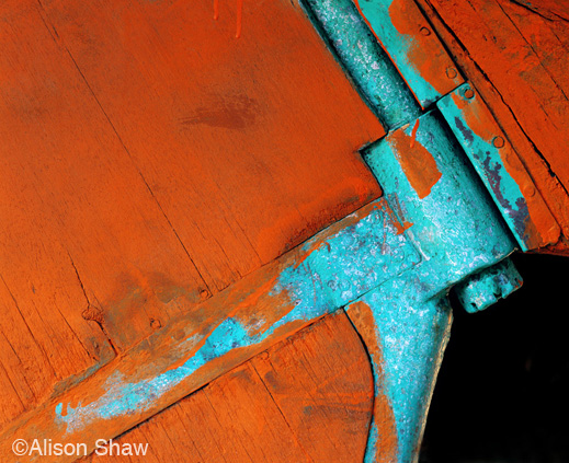 Fine photographic print by Alison Shaw, at Sun to Moon Gallery