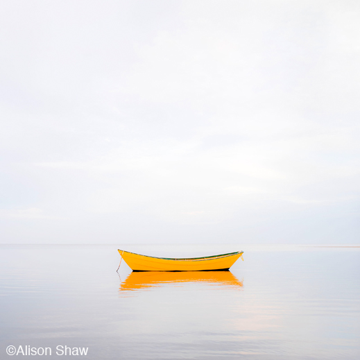 Fine photographic prints by Alison Shaw, at Sun to Moon Galalery, Dallas, TX