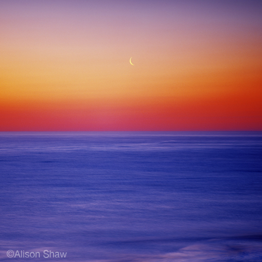 Fine photographic print by Alison Shaw, available at Sun to Moon Gallery