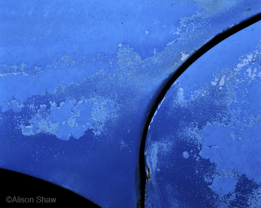 Fine photographic print by Alison Shaw, at Sun to Moon Gallery