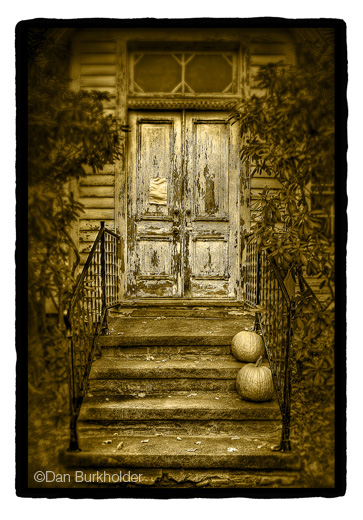 Dan Burkholder Gold image