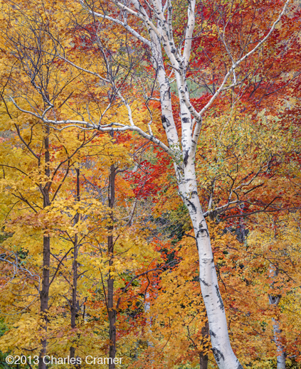 photograph ©Charles Cramer, available at Sun to Moon Gallery 