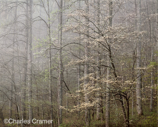 photograph ©Charles Cramer