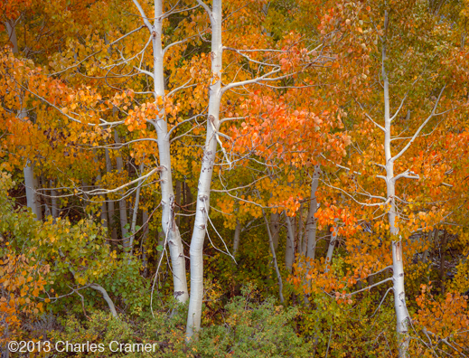 photograph ©Charles Cramer, available at Sun to Moon Gallery
