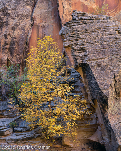 photograph ©Charles Cramer, available at Sun to Moon Gallery 