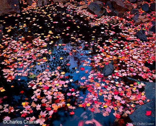 Fine Photographic Print by Charles Cramer, at Sun to Moon Gallery, Dallas, TX