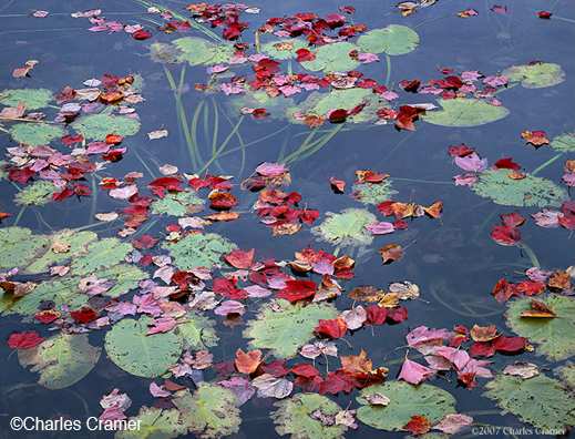 photograph ©Charles Cramer