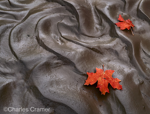 photograph ©Charles Cramer