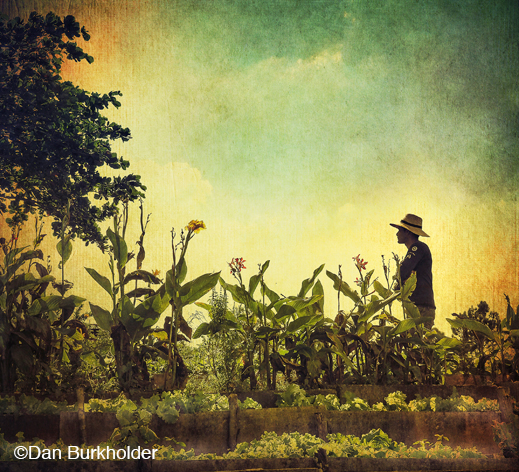 Fine photographic print by Dan Burkholder, at Sun to Moon Gallery, Dallas, TX