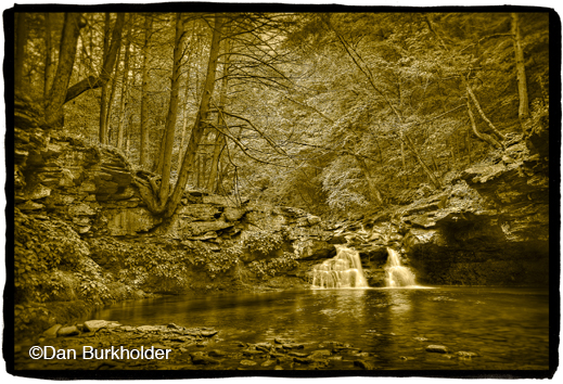 Fine photographic Platinum/Palladium on Vellum over Gold Leaf Print, at Sun to Moon Ga;llery, Dallas, TX