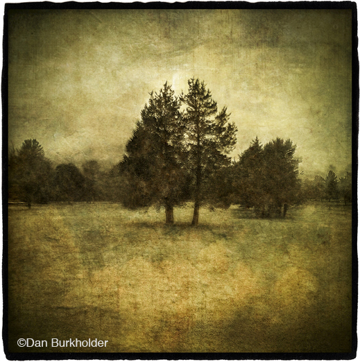 Fine photographic print by Dan Burkholder, at Sun to Moon Gallery