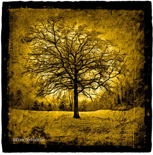 Fine photographic print by Dan Burkholder, st Sun to Moon Gallery, Dallas, TX