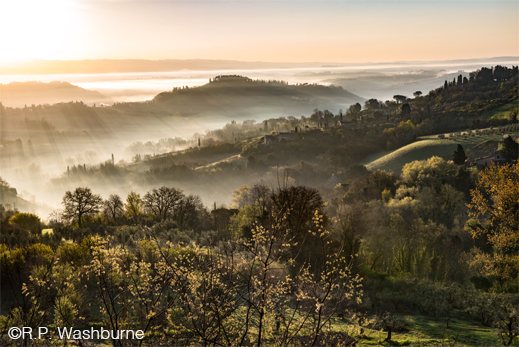 Fine photographic print of Italian Olive Grove by R.P. Washburne, at Sun to Moon Gallery