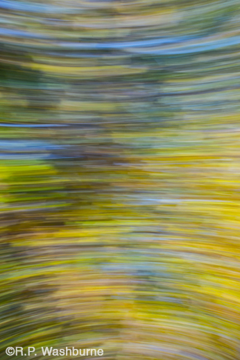 Fine photographic print by R.P. Washburne, available at Sun to Moon Gallery, Dallas, TX