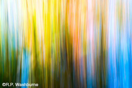 Fine photographic print by R.P. Washburne, available at Sun to Moon Gallery, Dallas, TX