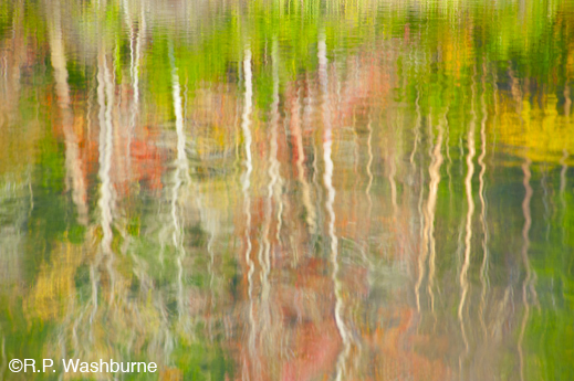 Texas fine photographic print by R.P. Washburne, at Sun to Moon Gallery, Dallas, Texas 