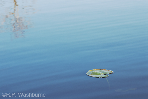 Fine photographic print by R.P. Washburne, at Sun to Moon Gallery, Dallas, TX
