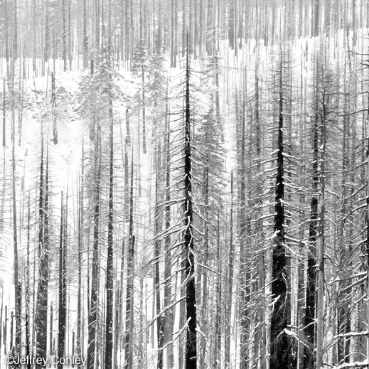 Gelatin Silver Print by Jeffrey Conley, available at Sun to Moon Gallery