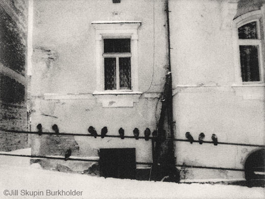 "Pigeons on Rail" photograph by Jill Skupin Burkholder, at Sun to Moon Gallery