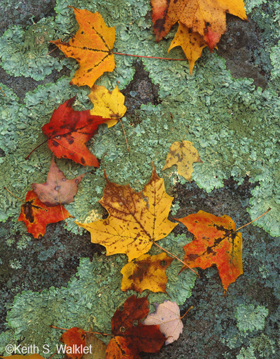 Fine Art Photographic Print by Keith S. Walklet, at Sun to Moon Gallery