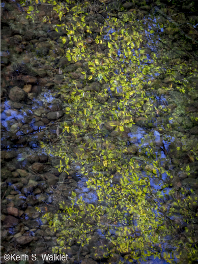 Fine photographic print by Keith S. Walklet, at Sun to Moon Gallery