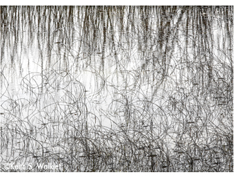Fine photographic print by Keith S. Walklet, at Sun to Moon Gallery