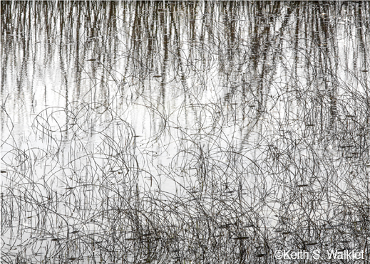 Fine photographic print by Keith S. Walklet, at Sun to Moon Gallery