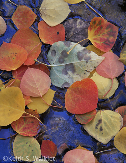 Photograph by Keith S. Walklet at Sun to Moon Gallery